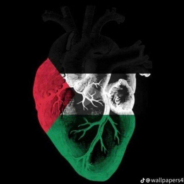 أرِحْ قَلبَكْ و عَقْلكْ 🧠🫀