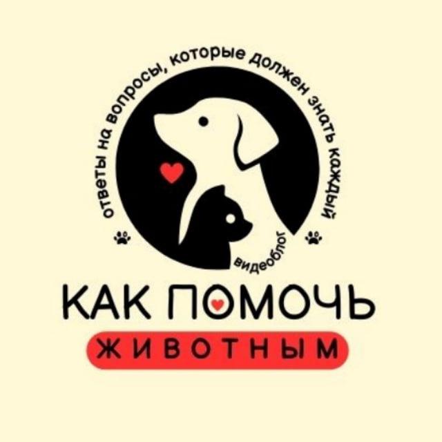 КАК ПОМОЧЬ ЖИВОТНЫМ