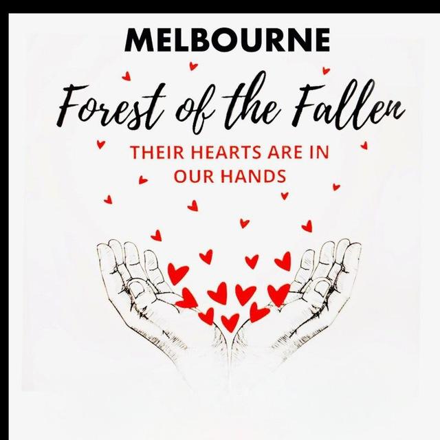 Forest of fallen. South East Melbourne.