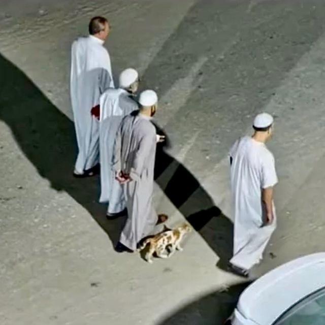 المُتنفس