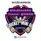 Shubham6435