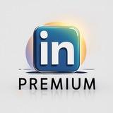 Linkedin Premium Business Career
