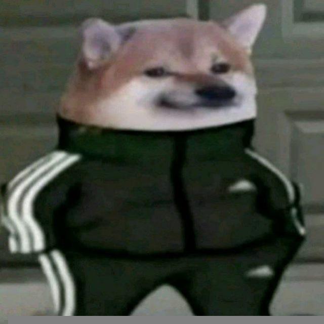 Где шутка?