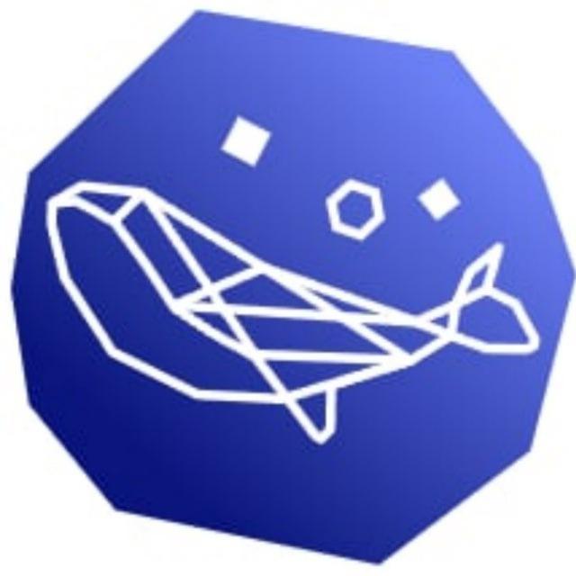 BlueWhale Official 공지방