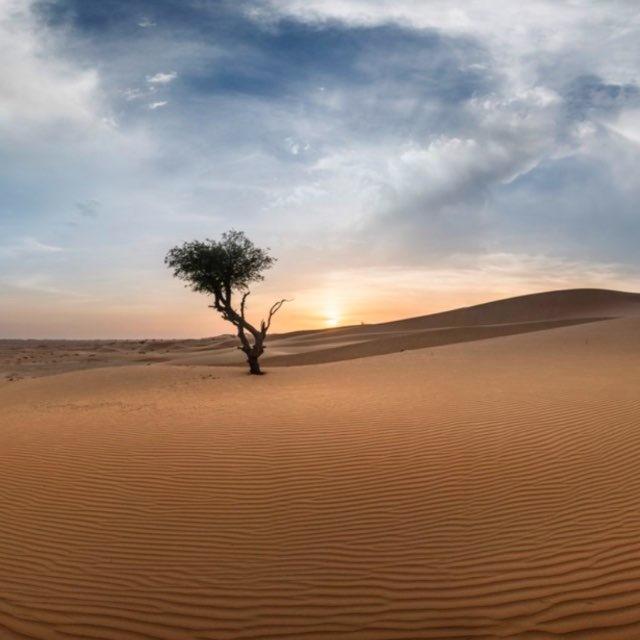 نهار
