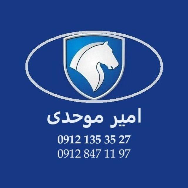 امیر موحدی(تهران)