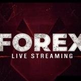 Forex live 𝗚𝗮𝘂𝗿𝗱𝗲𝗲𝗿