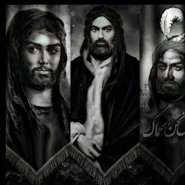 ستوريات حسينيه ||عبارات حسينية🤍🎗