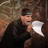 الرادود علي سعيد البيجاوي
