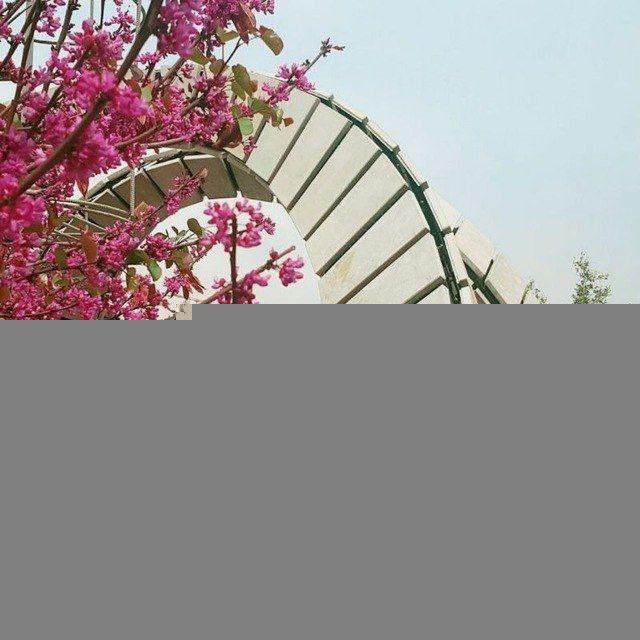 پردیس بین المللی کیش امیرکبیر