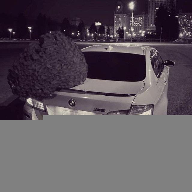 𝑇𝑣𝑜𝑦𝑎_𝑑𝑦𝑠ℎ𝑎232