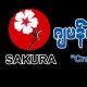 Sakura ဂျပန်စာသင်တန်းကျောင်း