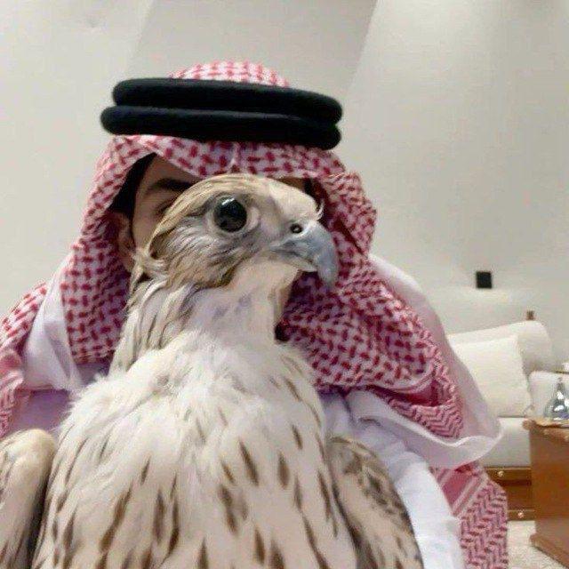 سجّه .
