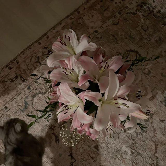 صُور