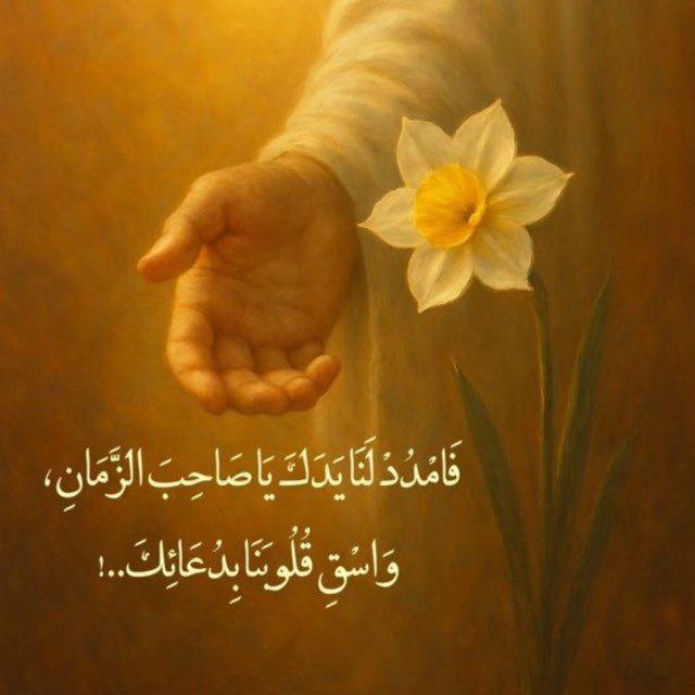 ﻧـۅر ٱلْـمھَہّدي³¹³