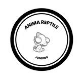 Anima Reptile🦎