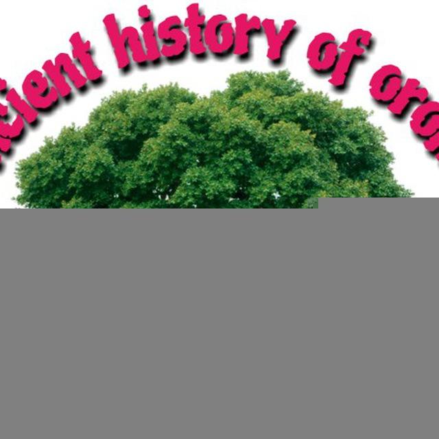 ancient history of oromoo