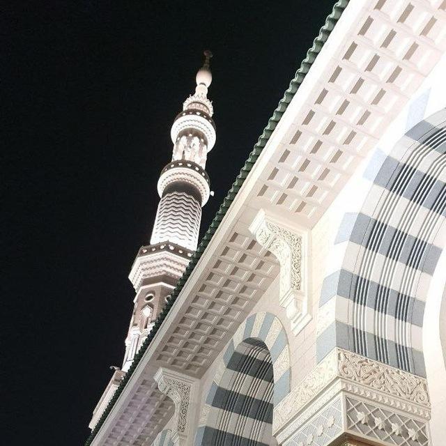 قُ~طُـوف أَثَـريّة