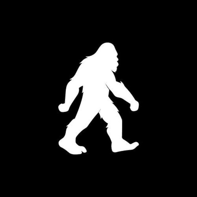 Bitfoot VIP Alpha Group