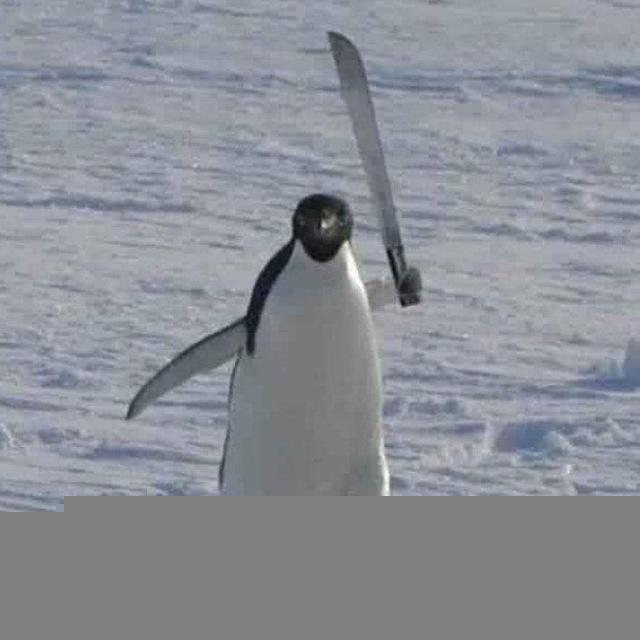 marzipanika