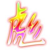 彪哥一手白号