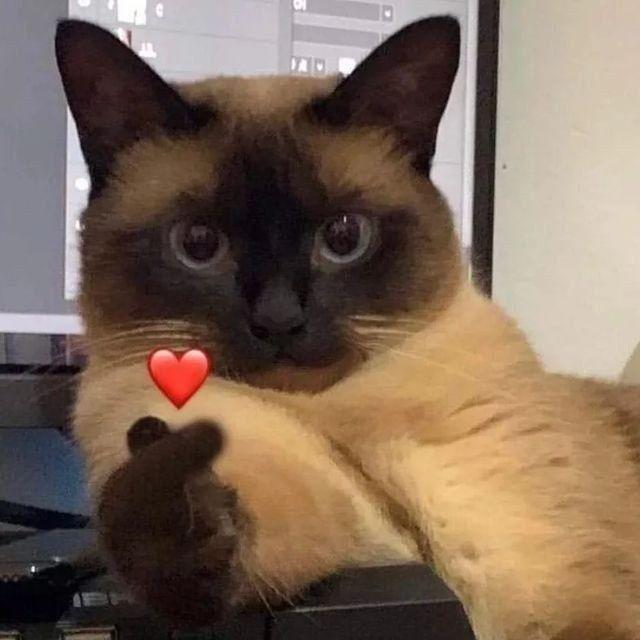 Garfield TikTok အကောင့် ရောင်း၀ယ်