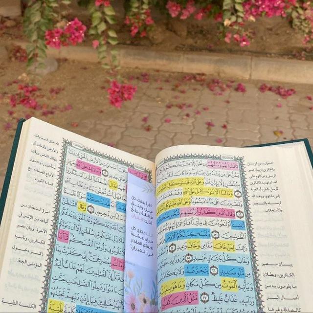 هُنا نورٌ