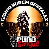 Jornal Puro Sangue - Grupo Rubem Gonzalez