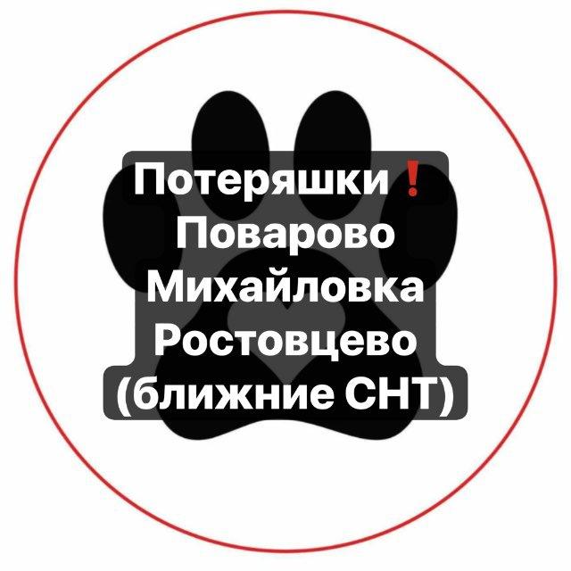 ПОТЕРЯШКИ‼️ПОВАРОВО‼️24/7