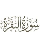 سورة البقرة كل يوم٠🤎