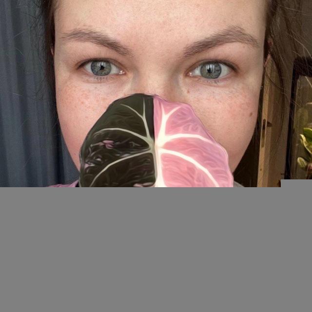 Momsterra🌱Инвестируй в зелёное