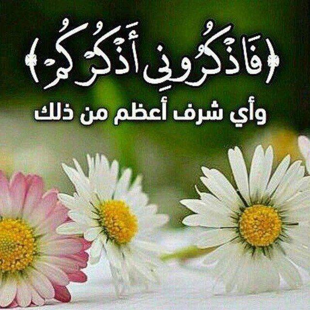 غراس الجنة🪻Qiraas