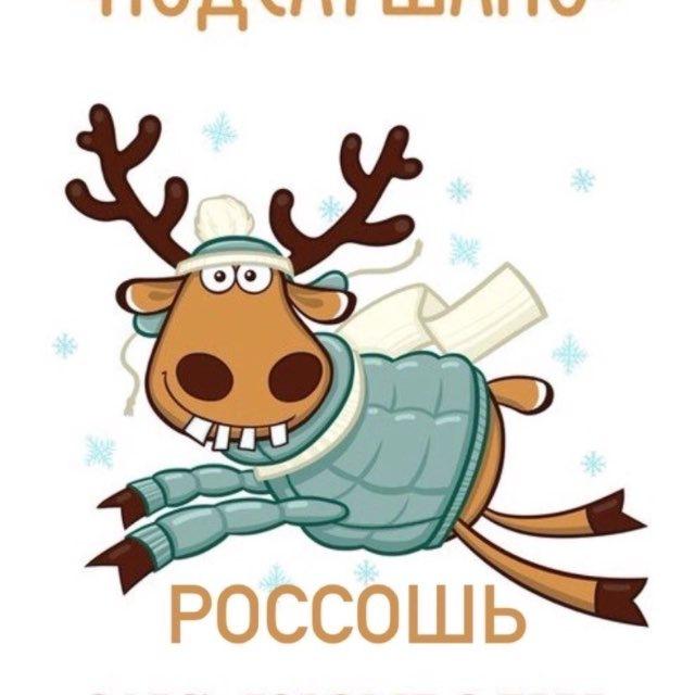Подслушано. Россошь