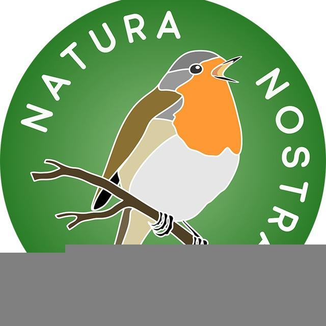 Онлайн-кружки Natura nostra ll Биология, химия, география