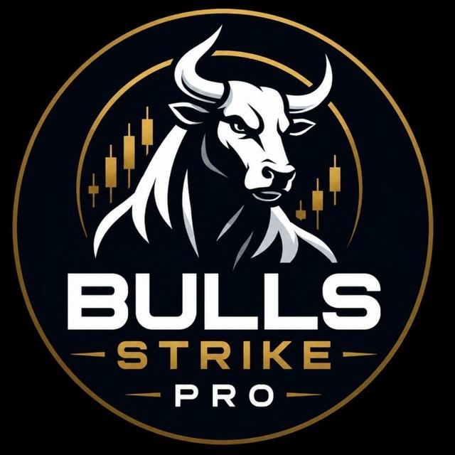 BULLS STRIKE PRO