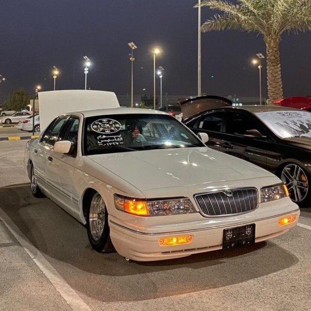 طرب 🎵🦅