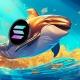 Solana Whales Signal