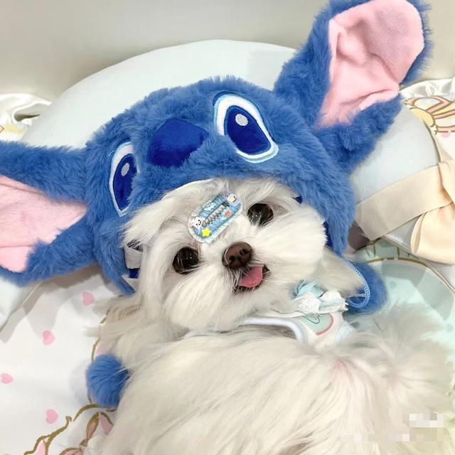 阿里云|华为云|腾讯云|AWS——总代