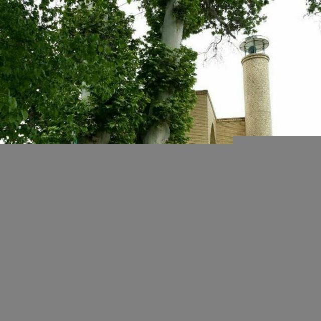 باویل نیوز