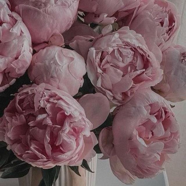 Wallpapers🦋