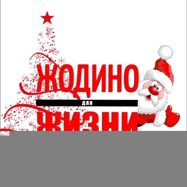 Жодино Для Жизни Чат