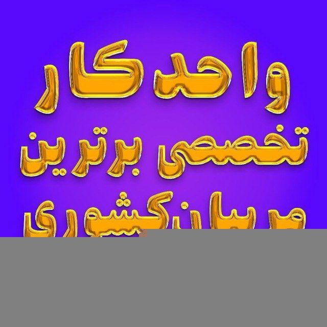 کانال واحدکارتخصصی برترین مربیان کشوری