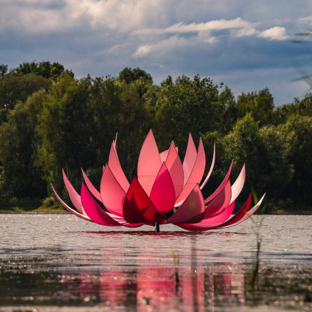 Flying Carpet auf dem New Healing Festival