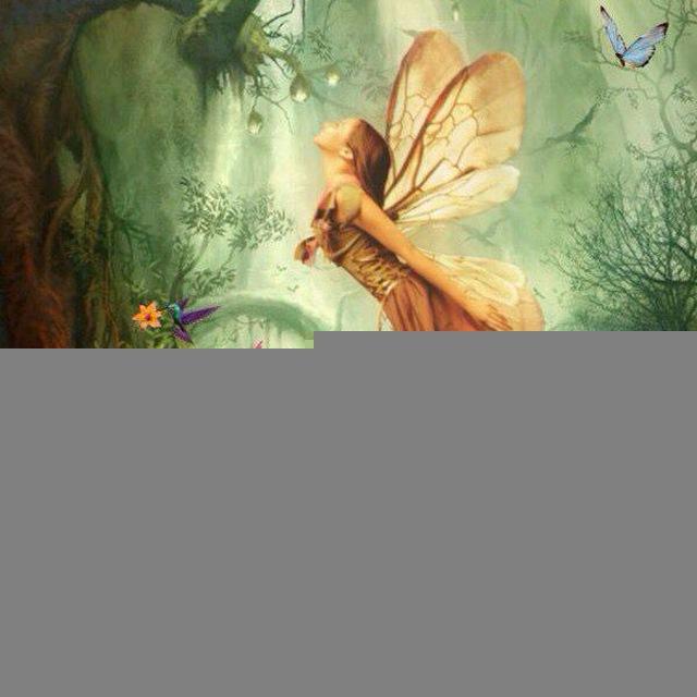 Fairies 🧚
