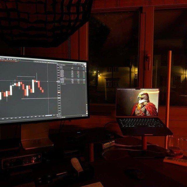 FOREX TRADING INVESTMENT LTD