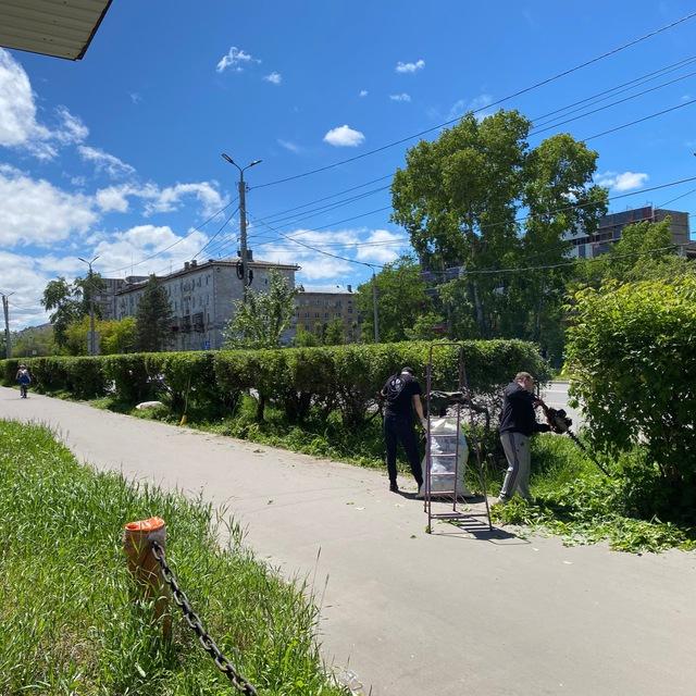 Кветка 🌳🌲🌳