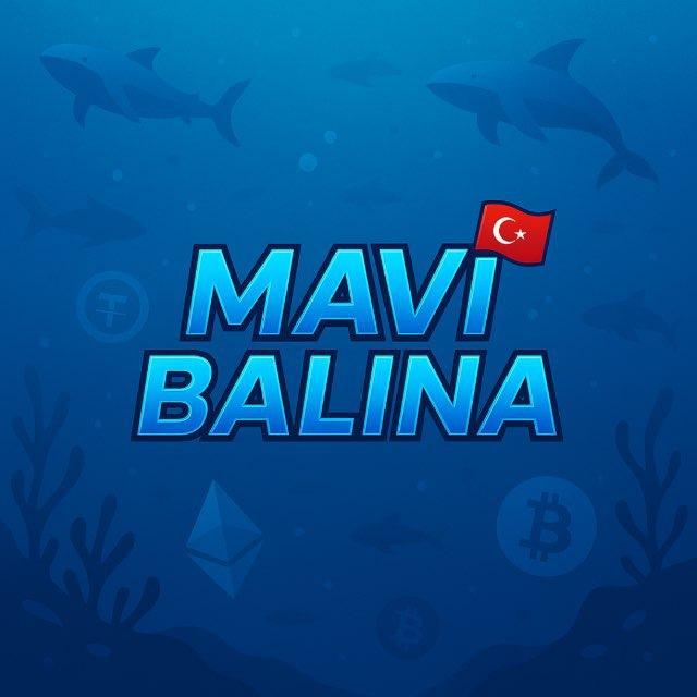 MAVİ BALİNA 🇹🇷