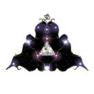 Cosmic Agency