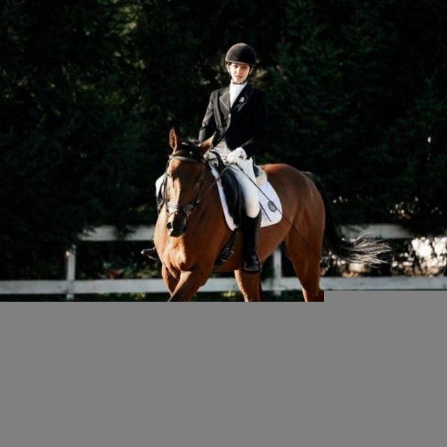 🪷dressage sonixx