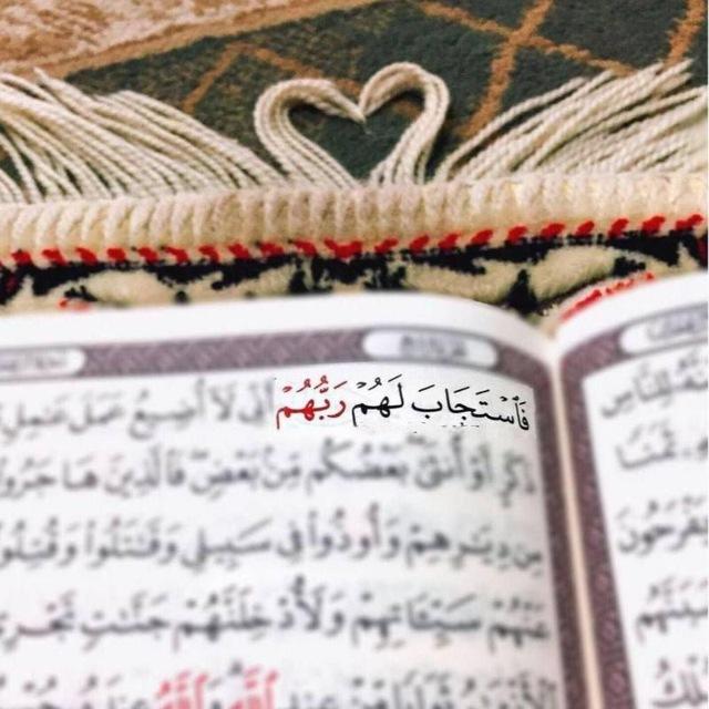 في حب الله 🤍³¹³